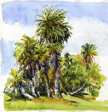 Palms at Royal Tasmanian Botanical Gardens